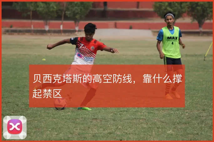 贝西克塔斯的高空防线，靠什么撑起禁区