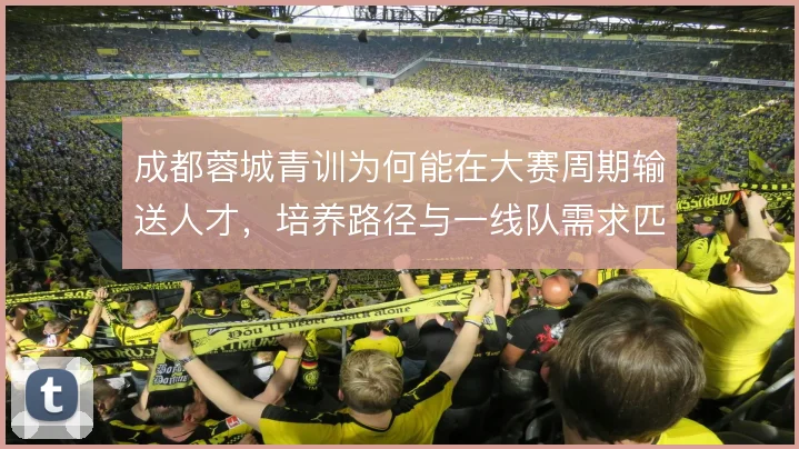 成都蓉城青训为何能在大赛周期输送人才,培养路径与一线队需求匹配